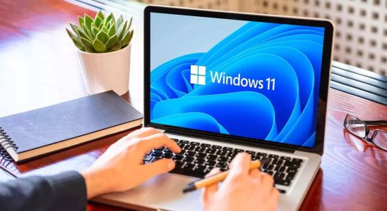 Microsoft kann unerwuenschte Benachrichtigungen unter Windows 11 reduzieren hier ist