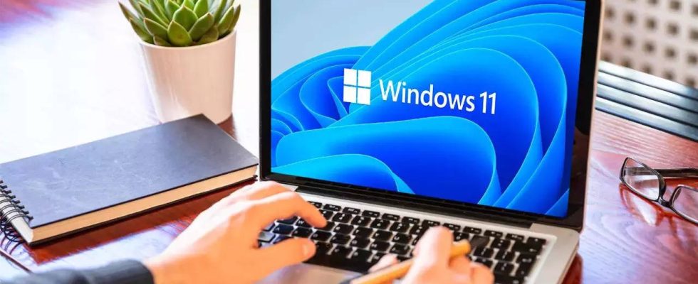 Microsoft kann unerwuenschte Benachrichtigungen unter Windows 11 reduzieren hier ist