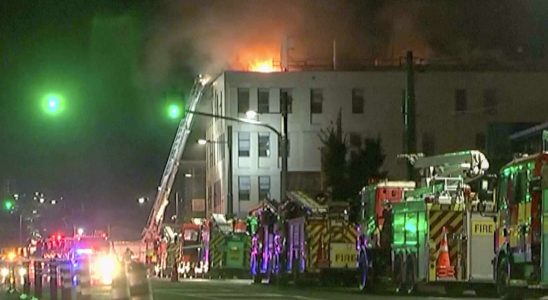 Mindestens sechs Tote bei Brand in einem Hostel in Neuseeland