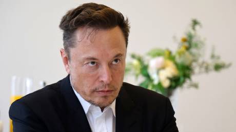 Musk verraet wen er am liebsten als US Praesidenten sehen wuerde