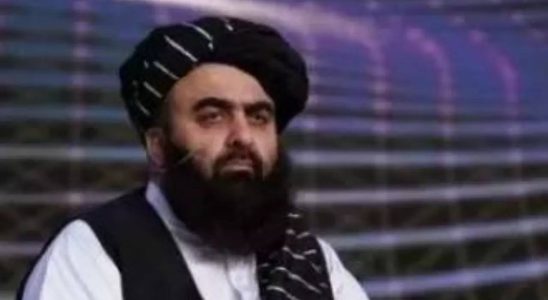 Muttaqi von den afghanischen Taliban fordert Islamabad und TTP auf