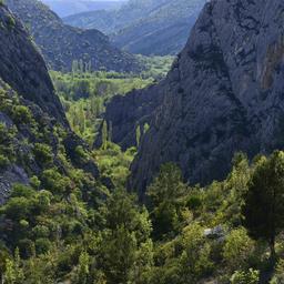 Niederlaendisches Flugzeug stuerzte in bewaldetem Gebiet Kroatiens ab Im