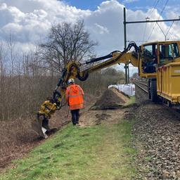 ProRail will flexiblere Regeln fuer Stickstoff und Dachse bei Arbeiten