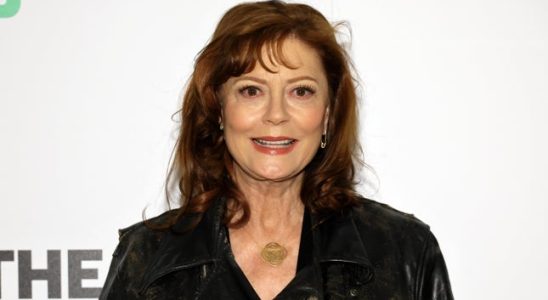 Susan Sarandon wurde waehrend einer Protestkundgebung in New York festgenommen