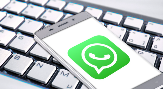 Techie verliert 42 Lakh Rupien durch „WhatsApp Betrug Lesen Sie die