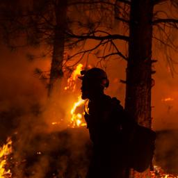 Waldbraende in Kanada Ausnahmezustand Tausende evakuiert Im Ausland