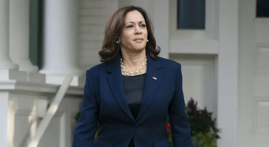 Was US Vizepraesidentin Kamala Harris nach dem Treffen mit den CEOs