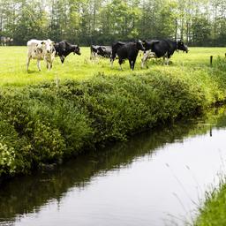 Wettervorhersage Anfang der Woche bewoelkt und manchmal etwas regnerisch