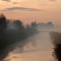 Wettervorhersage Tag beginnt mit Code Gelb und dichtem Nebel spaeter