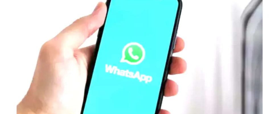 WhatsApp fuehrt moeglicherweise die Bildschirmfreigabefunktion ein So wird es funktionieren