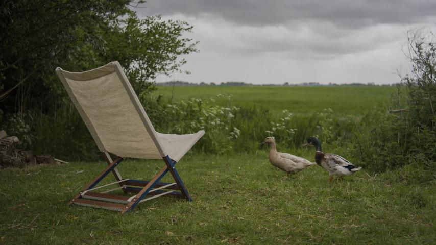 1685869740 634 Was tun mit dem grossen Wollueberschuss in den Niederlanden