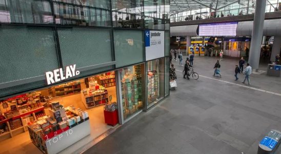 Banden und Obdachlose rauben Den Haag CS leer aus