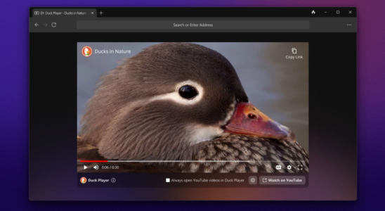 Der Windows Browser von DuckDuckGo ist jetzt in der offenen Beta