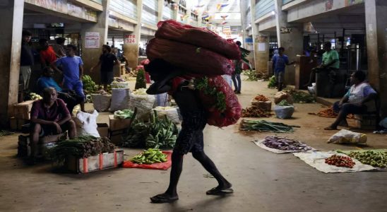 Die wirtschaftliche Erholung Sri Lankas bleibt eine Herausforderung IWF