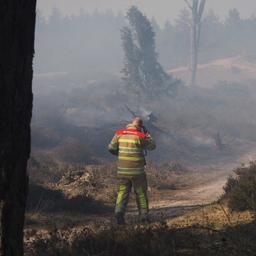 Feuerwehr bekaempft grossen Waldbrand in Purmerbos Innere