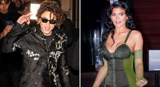 Ich glaube Timothee Chalamet hat Kylie Jenner einen Knutschfleck verpasst