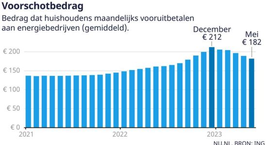 Immer mehr Niederlaender sehen sinkende Energierechnungen Wirtschaft