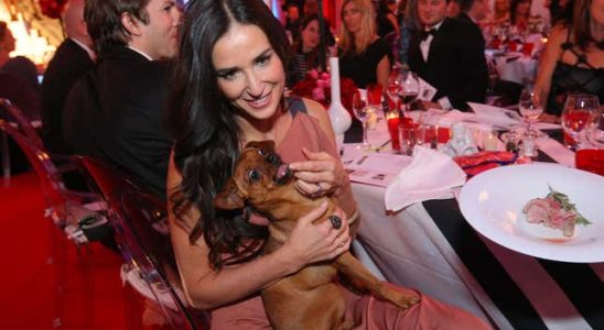 Kleiner Hund oder Baby Demi Moore muss sich entscheiden