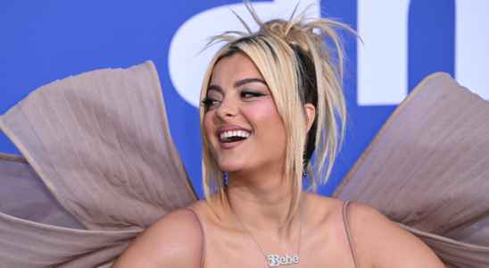 Konzertbesucher der Bebe Rexha mit aufgeladenem Telefon geschlagen hat meldet