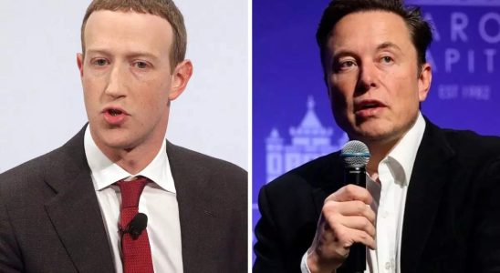 Musk Elon Musk sagt dass der Kaefigkampf mit Mark Zuckerberg