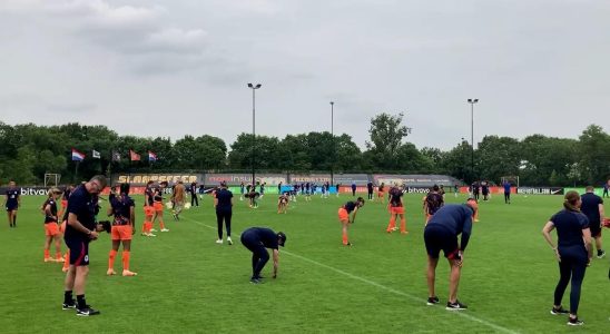 Orangefarbene Frauen ueberrascht ueber Steine ​​und Glas auf dem Feld