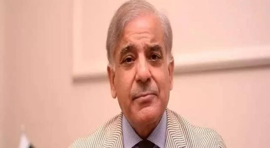 Pakistans regierende PML N waehlt Shehbaz Sharif zum Parteivorsitzenden Maryam Nawaz