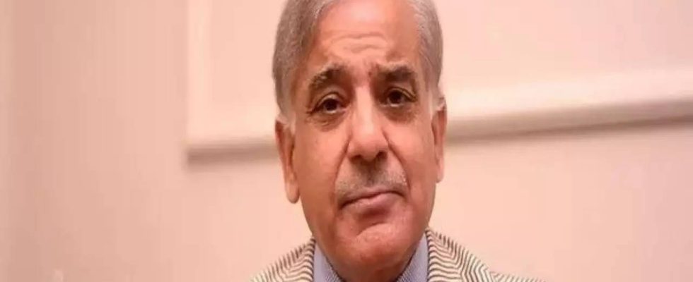 Pakistans regierende PML N waehlt Shehbaz Sharif zum Parteivorsitzenden Maryam Nawaz