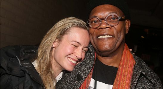 Samuel L Jackson verteidigt Brie Larson vor „Incel Dudes