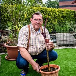 Seltene Penispflanze ueberrascht Gerard in seinem Hinterhof Aus anderen