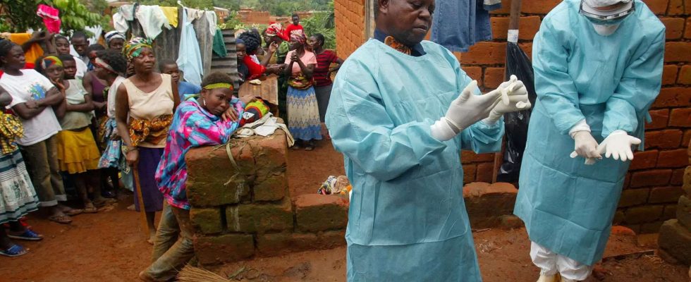 Tansania erklaert Ende des toedlichen Ausbruchs des Marburg Virus WHO