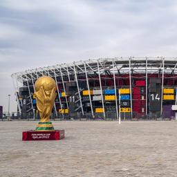 Umweltverbaende gewinnen Verfahren gegen FIFA Weltmeisterschaft in Katar war nicht