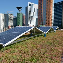 Viel Sonne sorgt fuer Solarpanel Rekord und manchmal sogar fuer Geld