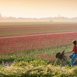 Wettervorhersage Bewoelkter Tagesanfang mit viel Sonne vor uns Innere