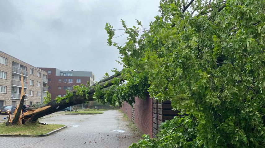 1688550095 758 Sturm Poly wuetet ueber den Niederlanden und hinterlaesst grosse Verwuestung