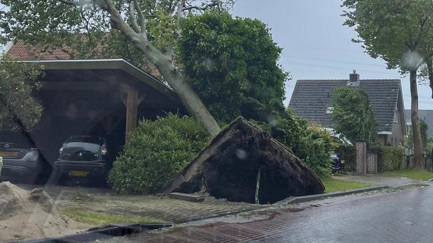 1688550096 338 Sturm Poly wuetet ueber den Niederlanden und hinterlaesst grosse Verwuestung