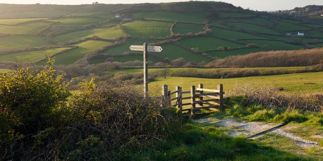 1690774580 633 Natur Mensch und Landwirtschaft zusammen In England klappt es