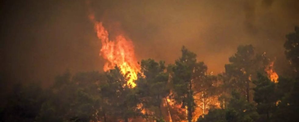 30000 Menschen wurden evakuiert als auf der griechischen Insel Rhodos