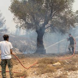 Aktuelle Hitze in Suedeuropa ohne Klimawandel praktisch unmoeglich Klima