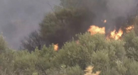 Bei Waldbraenden in ganz Algerien kamen 25 Menschen ums Leben