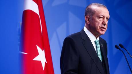 Erdogan spricht mit Putin ueber Wiederaufnahme des Getreideabkommens – World