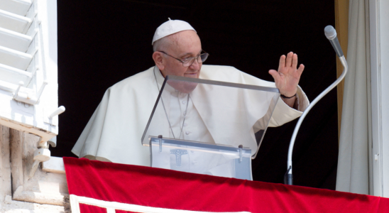 Getreideinfrastruktur Papst fordert russische „Brueder auf das Schwarzmeer Getreideabkommen wiederherzustellen