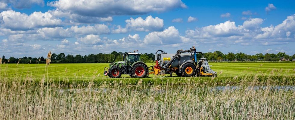 Greenpeace fordert nun vor Gericht einen besseren Stickstoffplan vom Kabinett