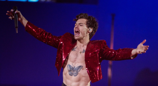 Harry Styles wurde wieder von etwas getroffen