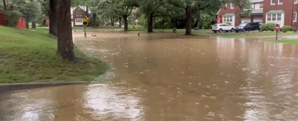 Heftige Regenfaelle ergiessen sich ueber den Nordosten der USA Meteorologen