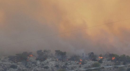 Hitzerekorde aufgrund aussergewoehnlicher Temperaturen Welt leidet unter extremer Hitze