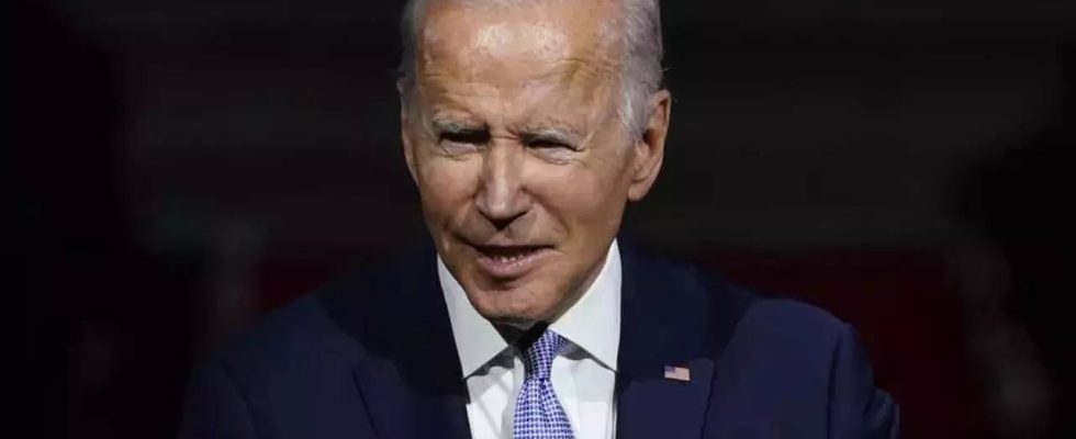 Joe Biden erkennt offen sein siebtes Enkelkind an die Tochter