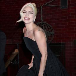 Lady Gaga muss Frau die Hunde gestohlen und zurueckgebracht hat