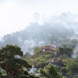 Mindestens 500 Menschen wurden durch Waldbrand auf der spanischen Insel