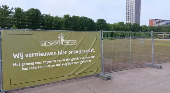 Nach einem Festival scheint der neue Rasen ruiniert zu sein