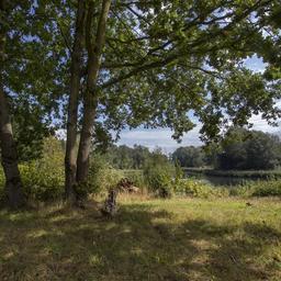 Provinzen erreichen weder alte noch neue Naturziele Aus anderen